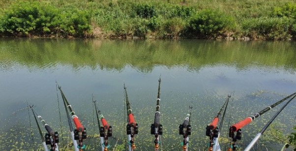 세계 물의 날(9)