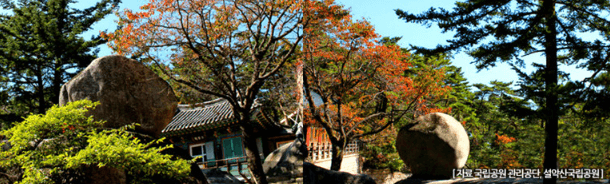 단풍여행 당일 단풍버스여행