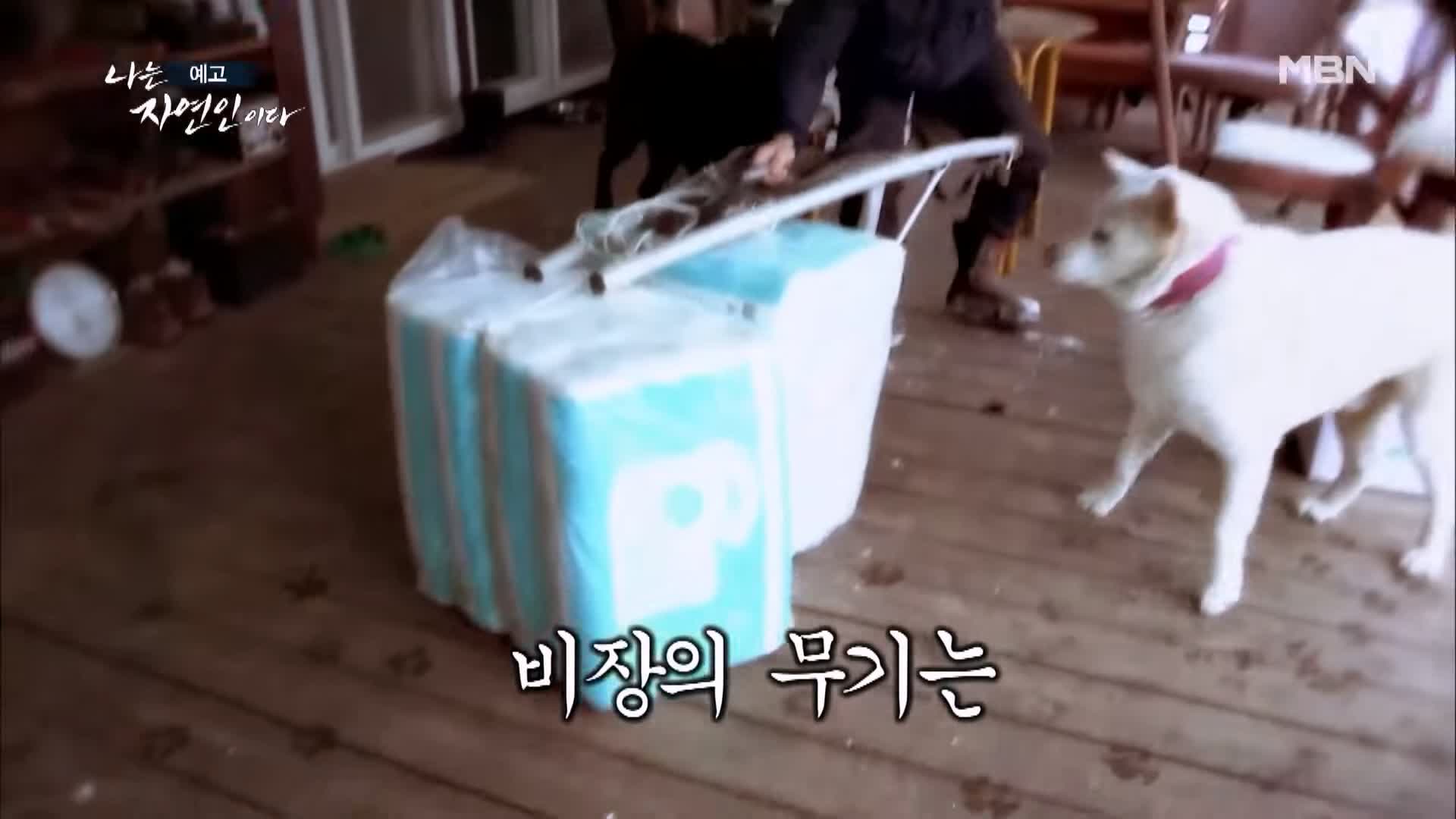 나는 자연인이다 전 재산 사기 후 얻은 반려견 자유로운 삶 내 마음은 호수 자연인 황창환 소개 및 이승윤 출연 539회 다시보기