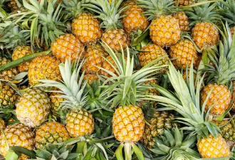 사과,파인애플/출처:어도비스톡