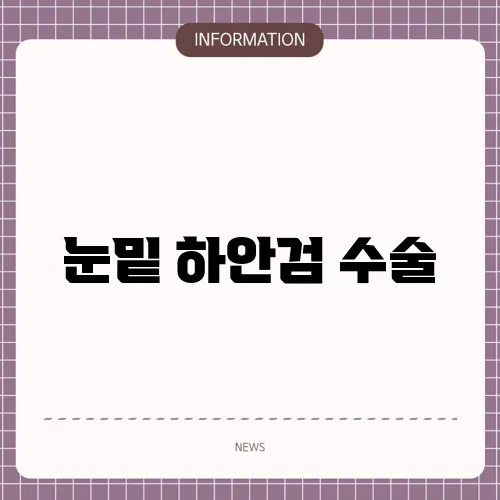눈밑 하안검 수술