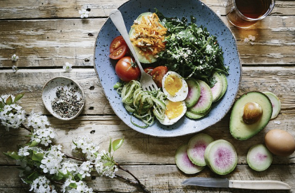 채식 문화의 역사