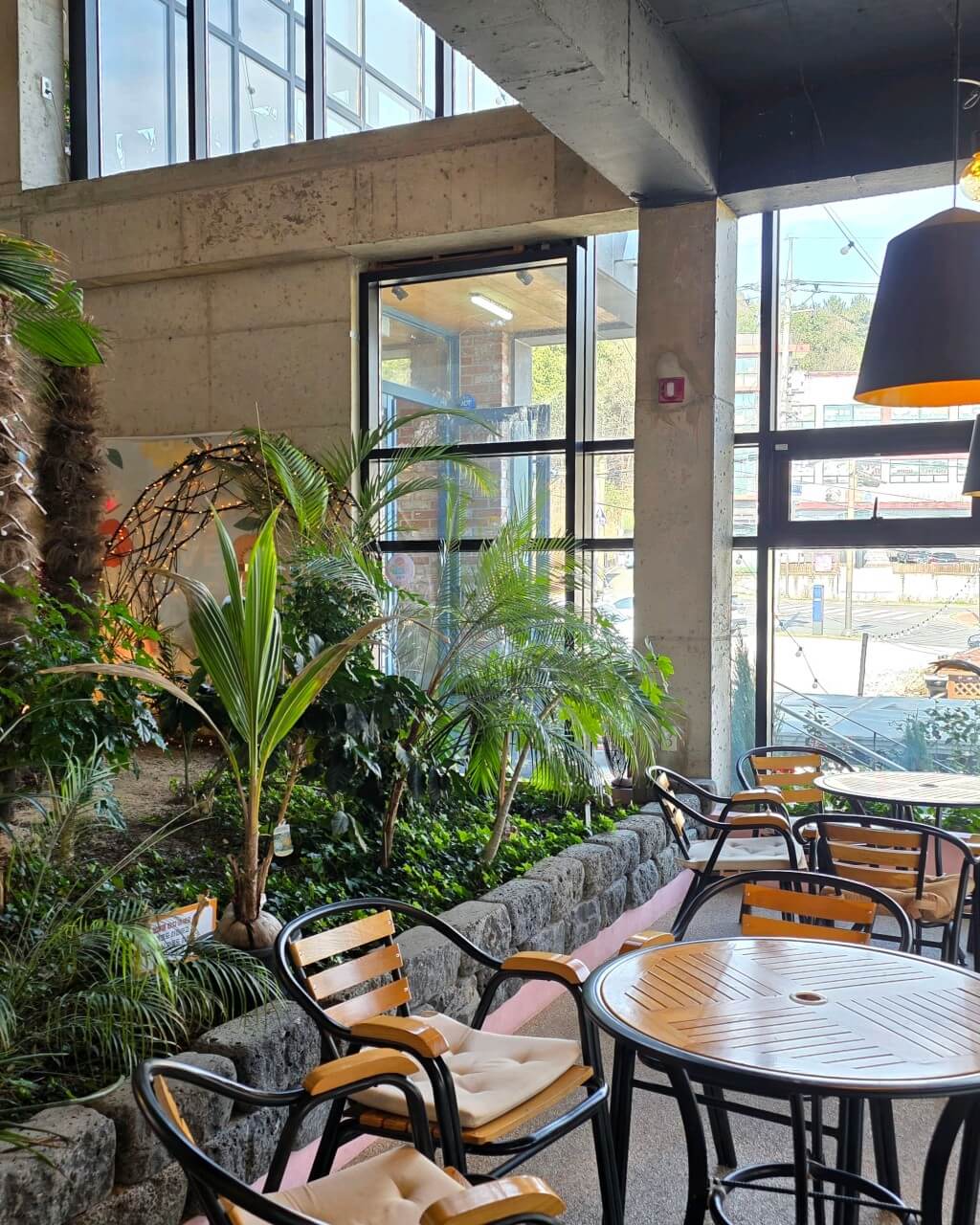 오늘N 커피 한잔할래요? 경북 경주시 식물원 분위기 카페 오베르 경주여행 갈만한 곳 오늘N 2501회