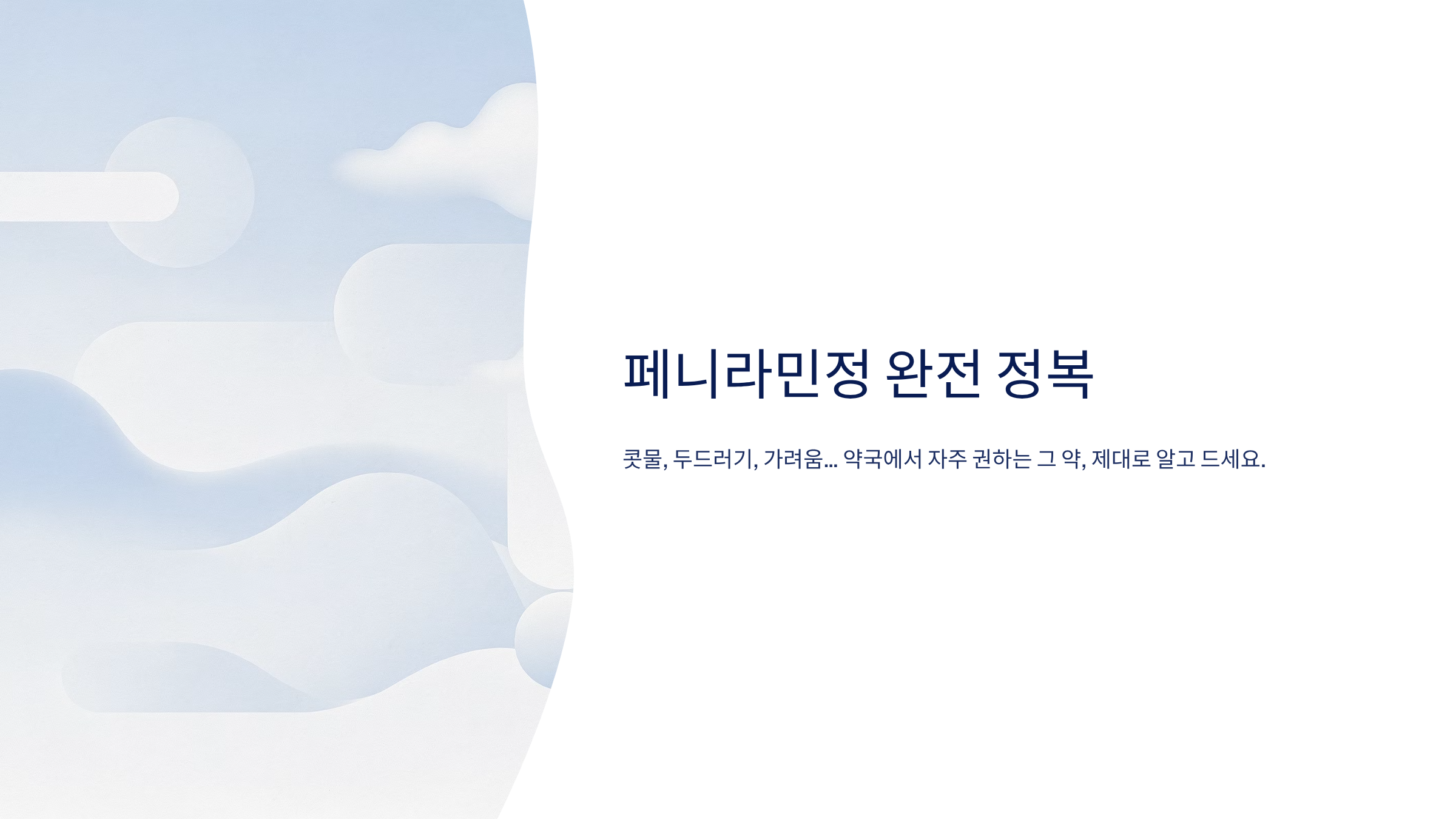 페니라민정