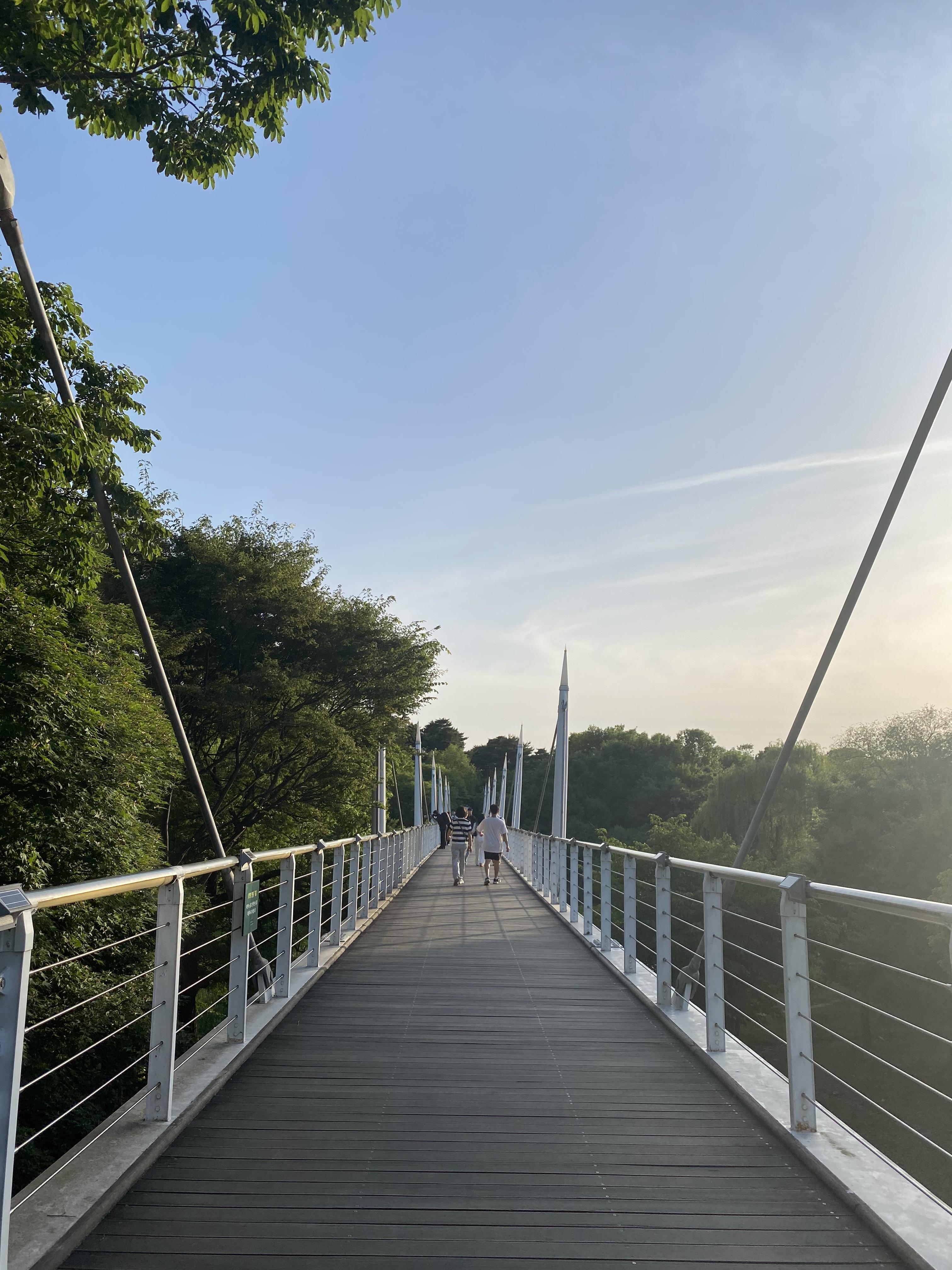 Alt 속성 문제 해결 설명 이미지