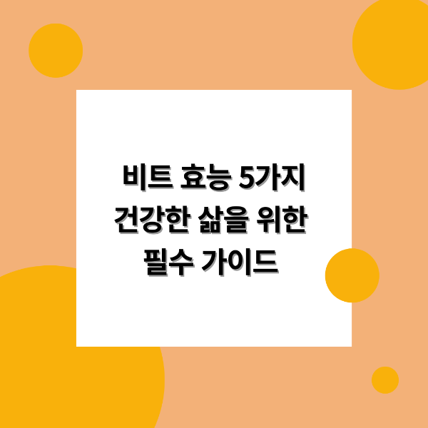 비트 효능 5가지 건강한 삶을 위한 필수 가이드