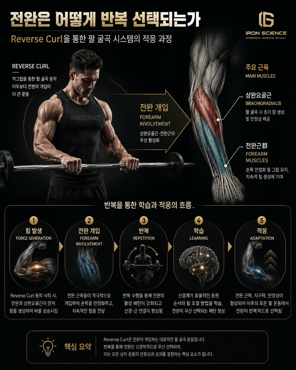 전완은 어떻게 반복 선택되는가