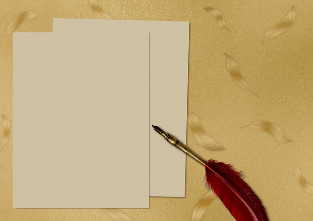 편지지