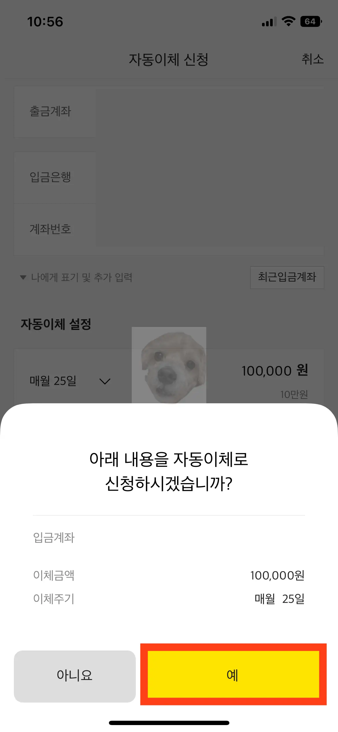 자동이체 설정 완료