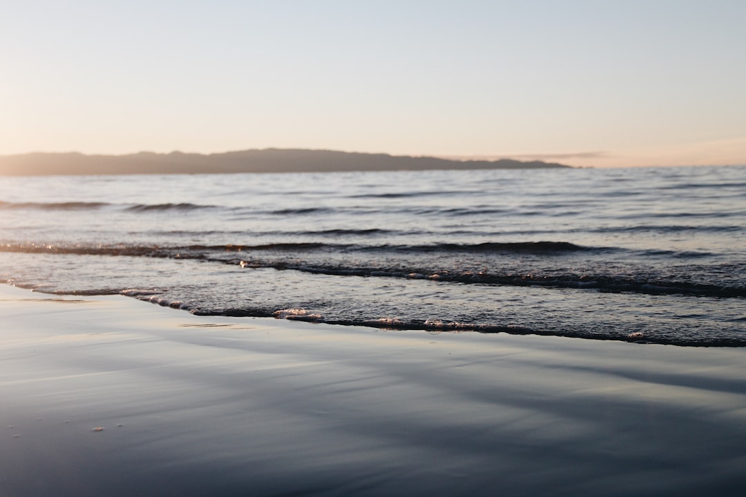 Oceanview