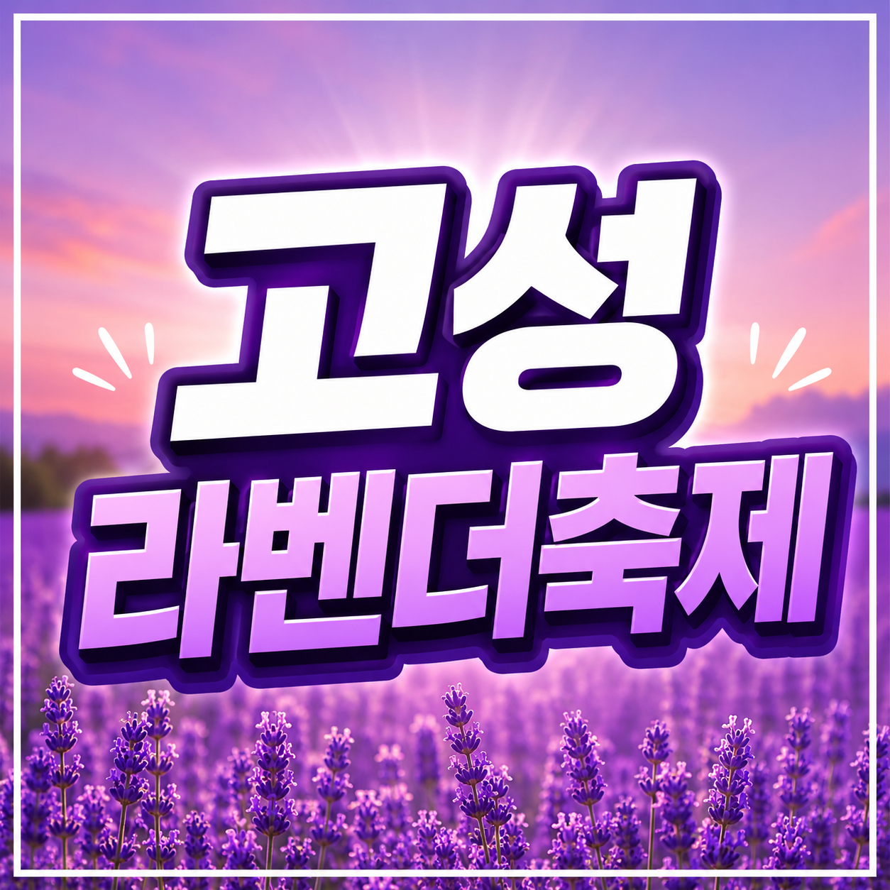 고성 라벤더축제