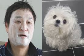 나혼자산다 구성환 꽃분이 애견 펫 드라이기 추천템