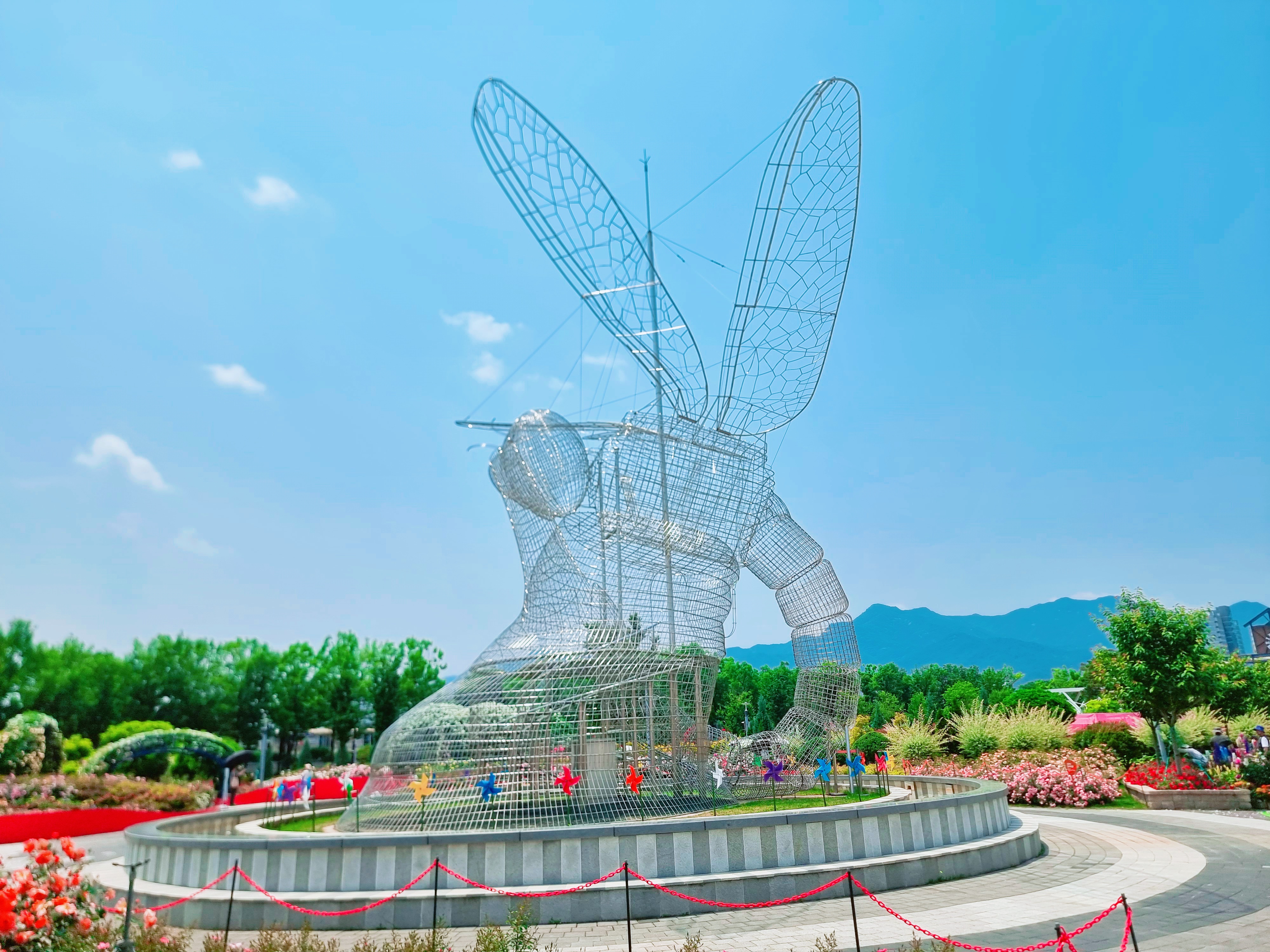 곡성 기차마을 장미공원 사진