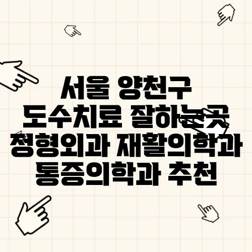 서울 양천구 도수치료 잘하는곳 정형외과 재활의학과 통증의학과 추천