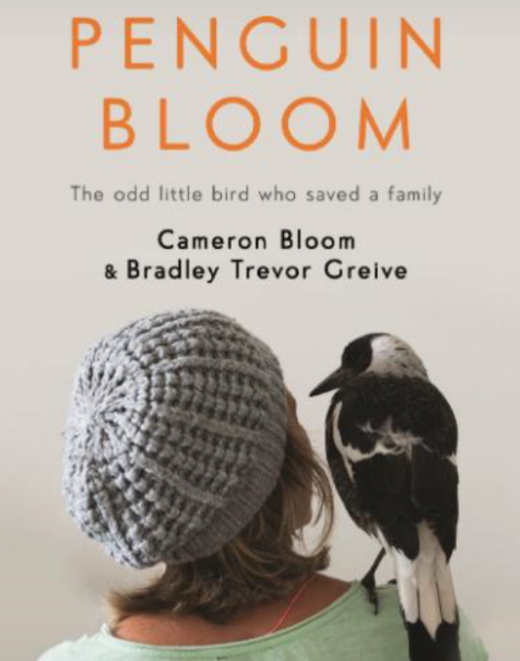 영화 <펭귄 블룸> 관련 사진