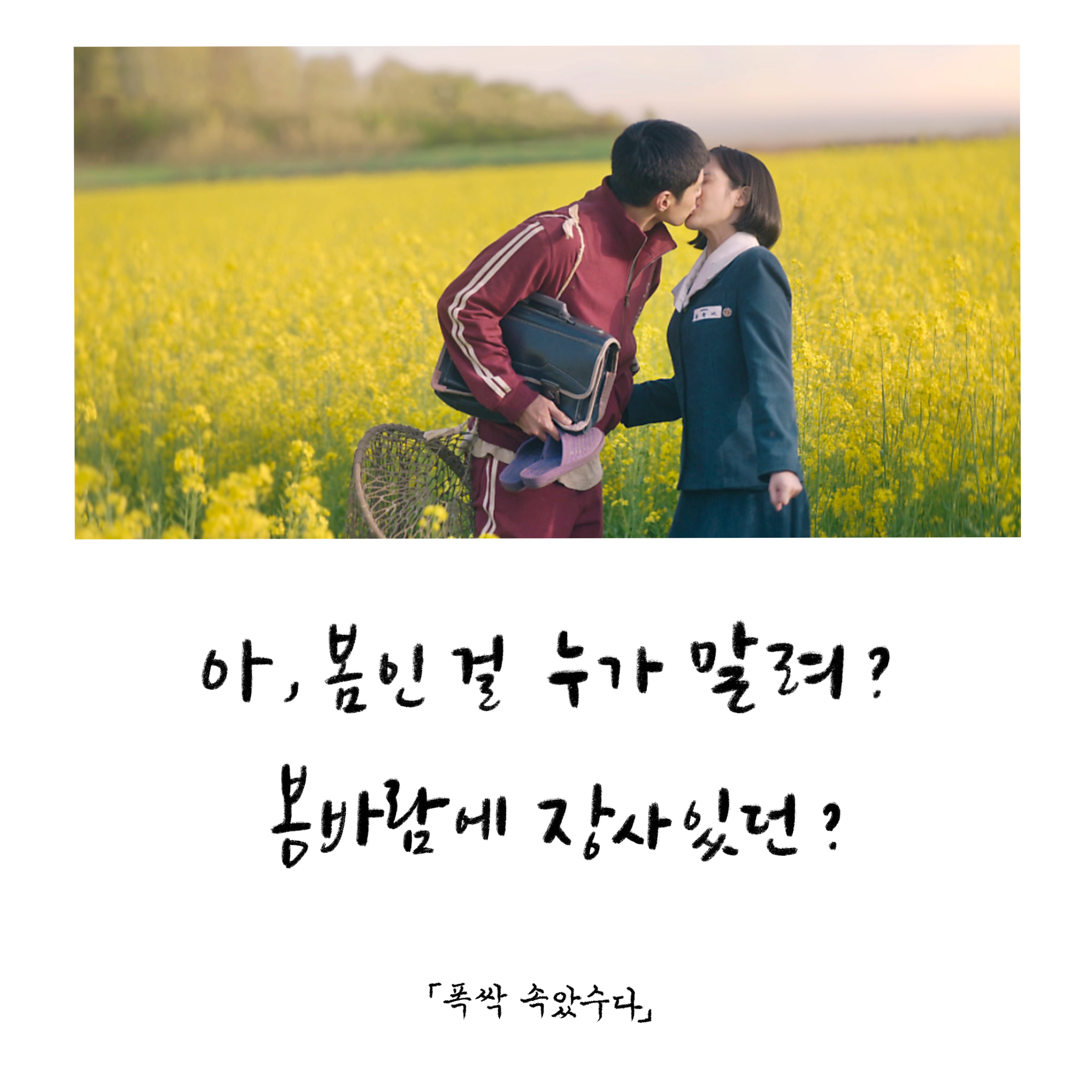 &lt;폭싹 속았수다&gt; 명대사 50개 모음