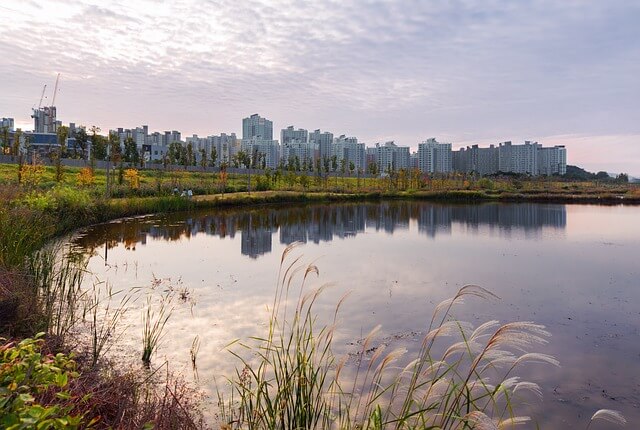 한강 공원 전경