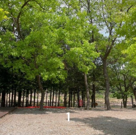 경호강_캠핑장_사이트_B1