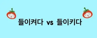 쾨쾨하다 쾌쾌하다 퀘퀘하다 맞춤법 사용 예문_6