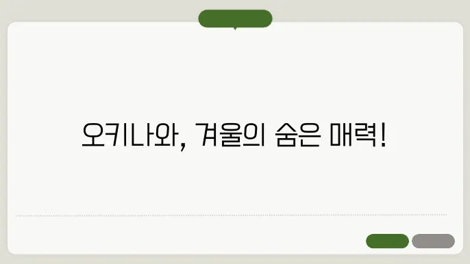 오키나와 1월 날씨