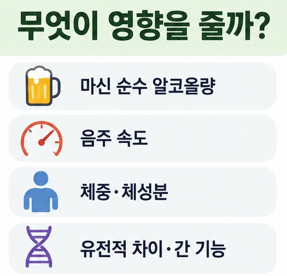 마신 양 음주 속도 체중 체성분 유전 간 기능이 알코올 분해시간에 영향을 주는 표 이미지