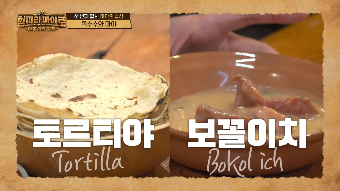 형따라 마야로