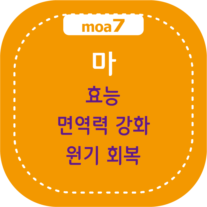 마 효능, 면역력 강화와 원기 회복