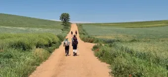 스페인 산티아고 순례길 역사 의미 유래_17