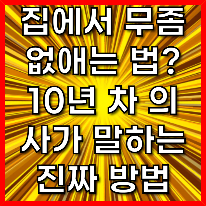 집에서 무좀 없애는 법? 10년 차 의사가 말하는 진짜 방법