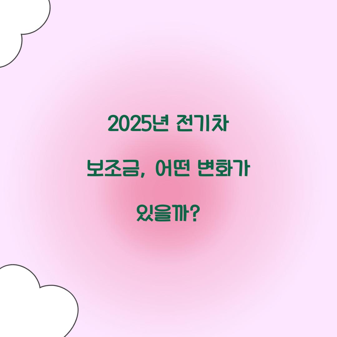 2025년 전기차 보조금