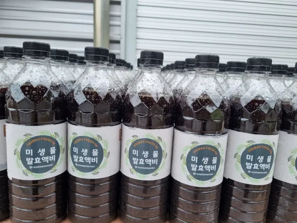 액비 희석비율 주기맞추기 잎색개선 안전한 급수 방법_3