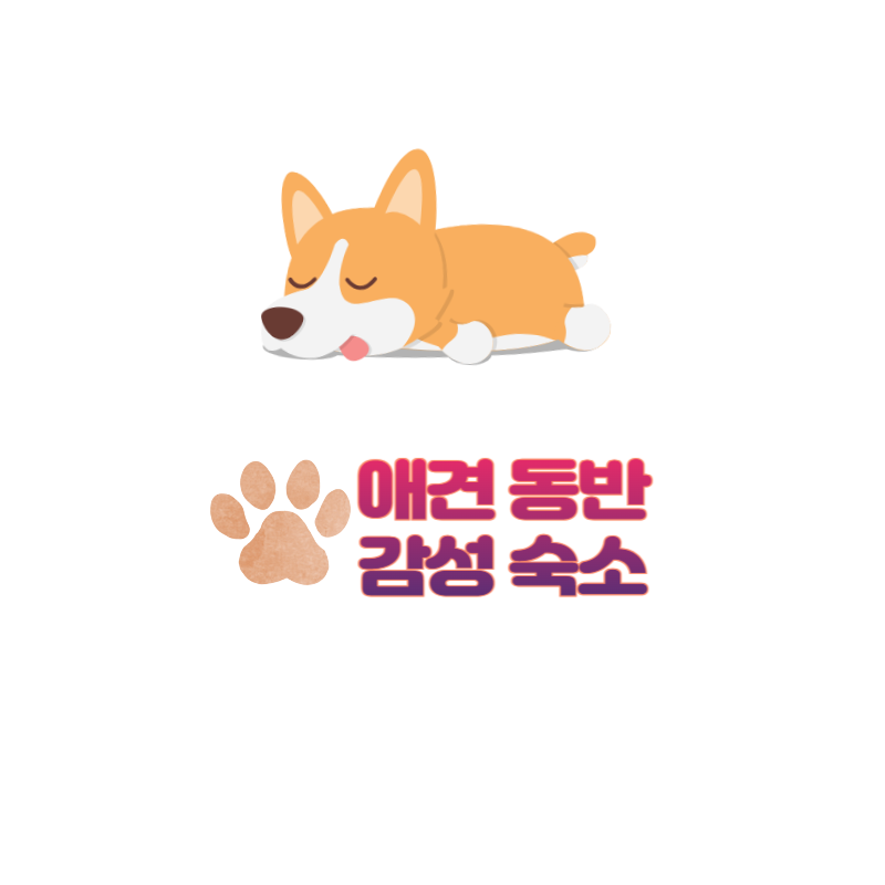 애견동반숙소