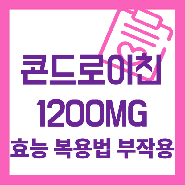 콘드로이친 1200mg 효능 사진 1