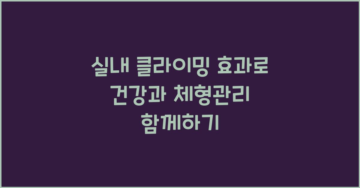 실내 클라이밍 효과