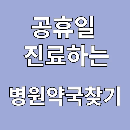 공휴일 진료하는 병원약국찾기