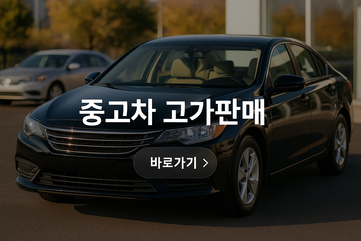 중고차 고가판매 사진