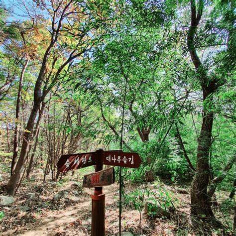 오서산 자연휴양림 산책코스