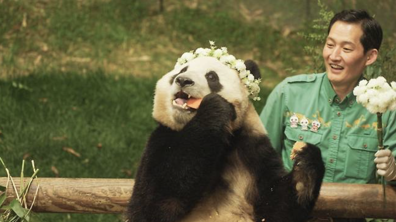 안녕, 할부지 푸바오