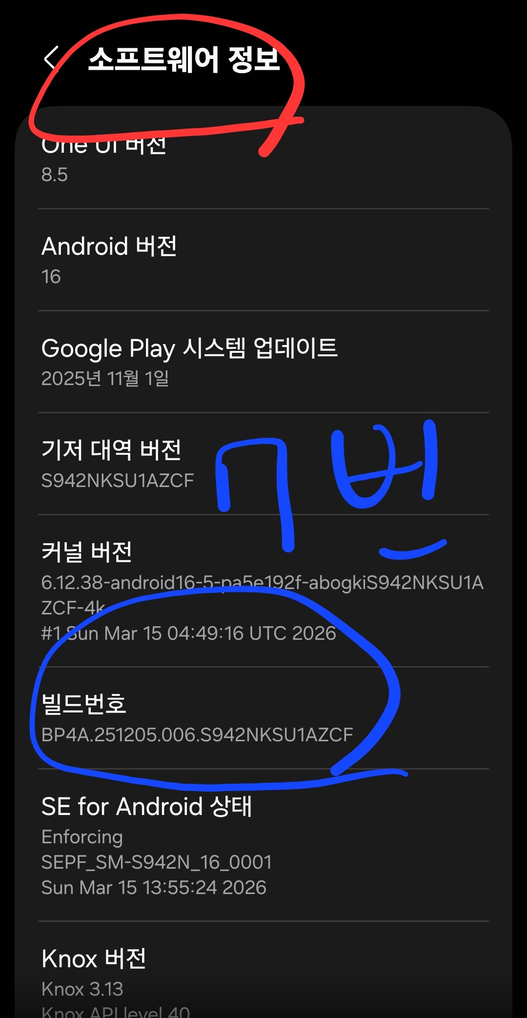 소프트웨어 정보 화면에서 빌드번호 항목을 파란색 원으로 강조하고 중앙에 파란색 글씨로 7번이라고 적어 개발자 옵션 활성화 방법을 설명하는 이미지입니다.