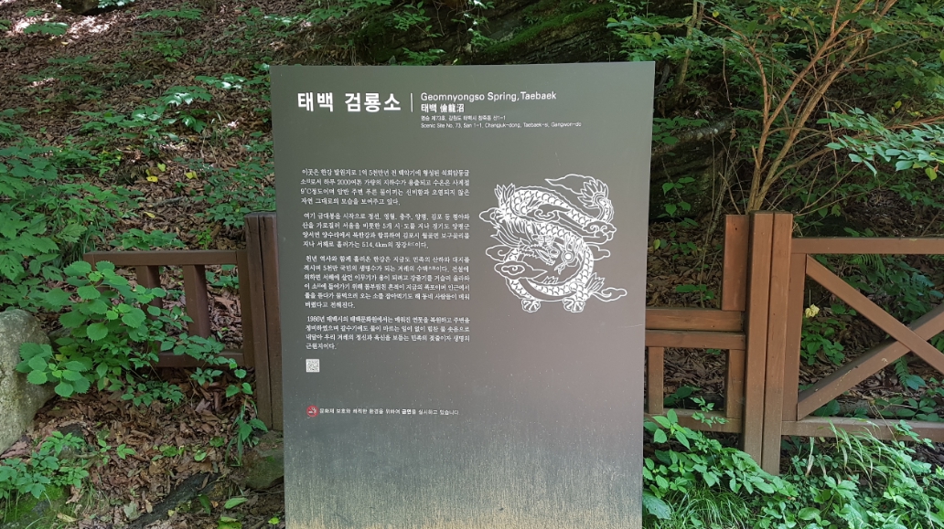 태백17