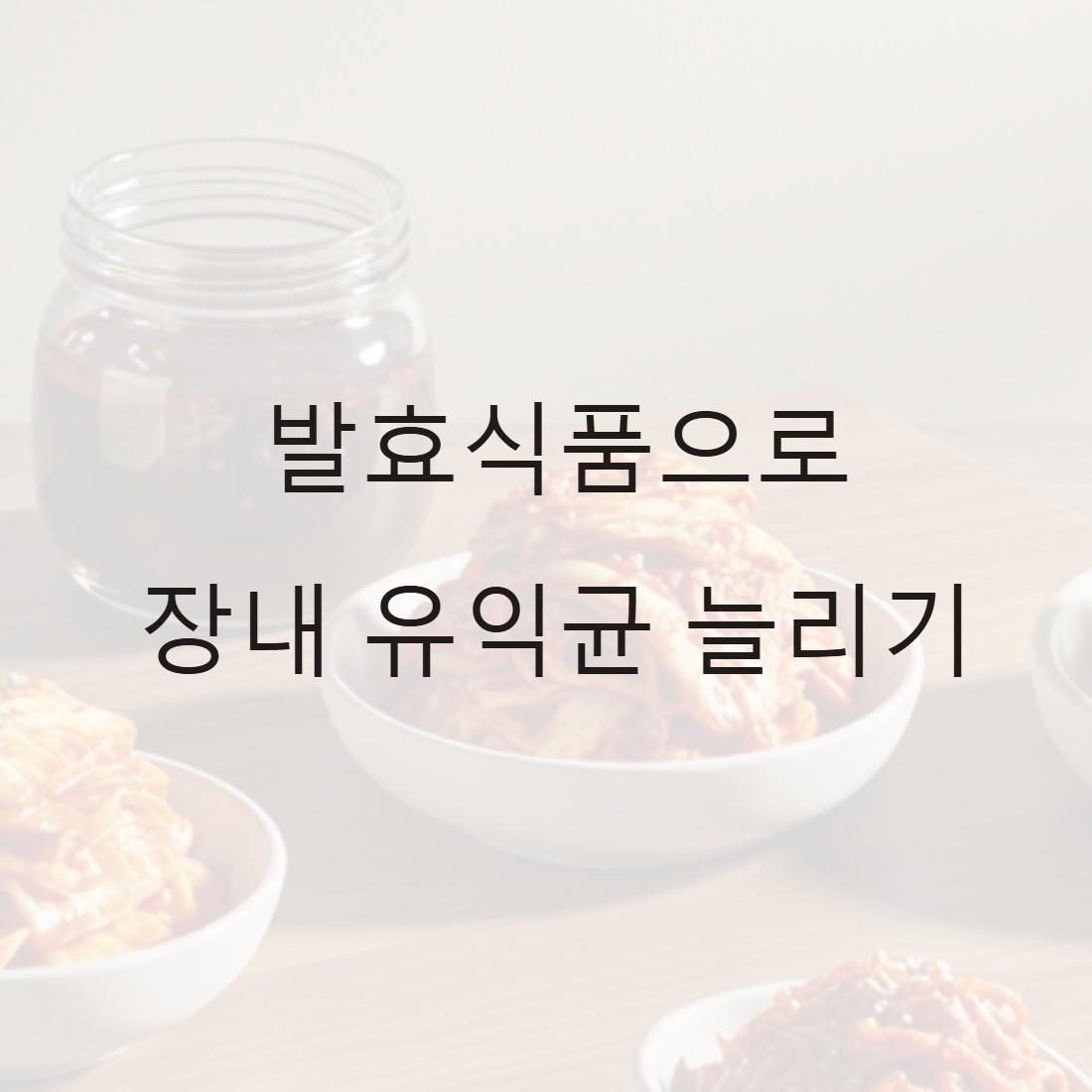장건강 발효식품으로