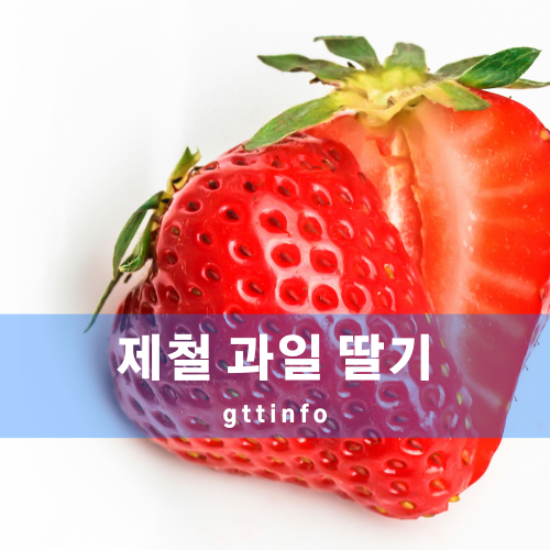 딸기의 효능
