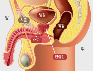 보청기신청