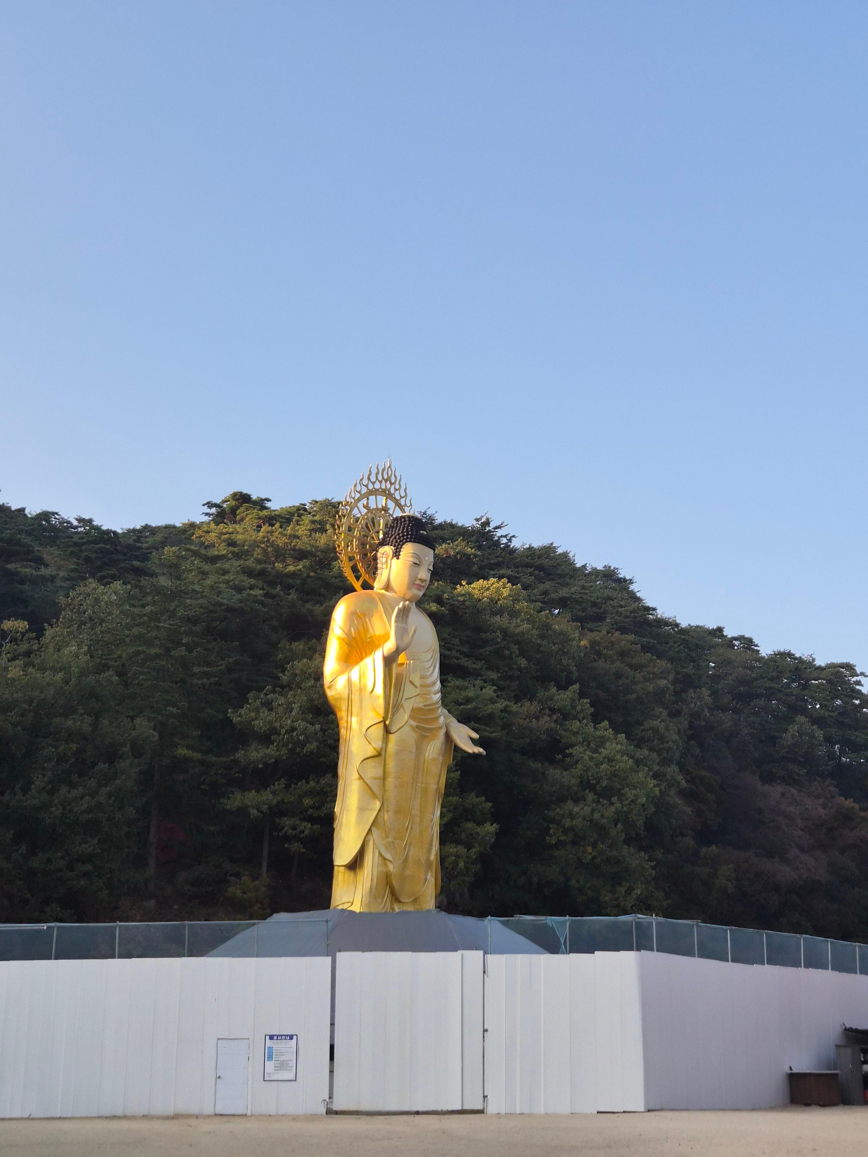 법주사 부처님