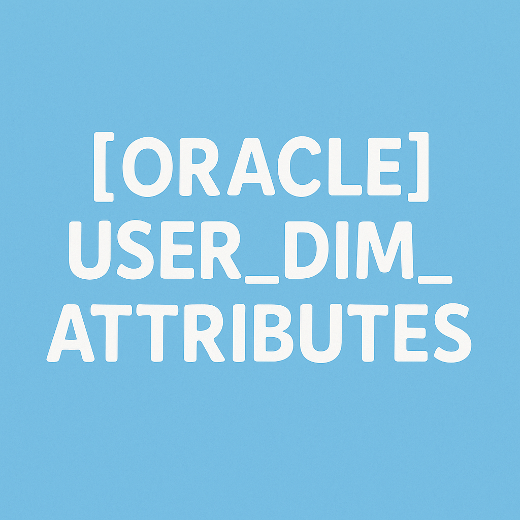 차원 속성 관리의 핵심 비밀