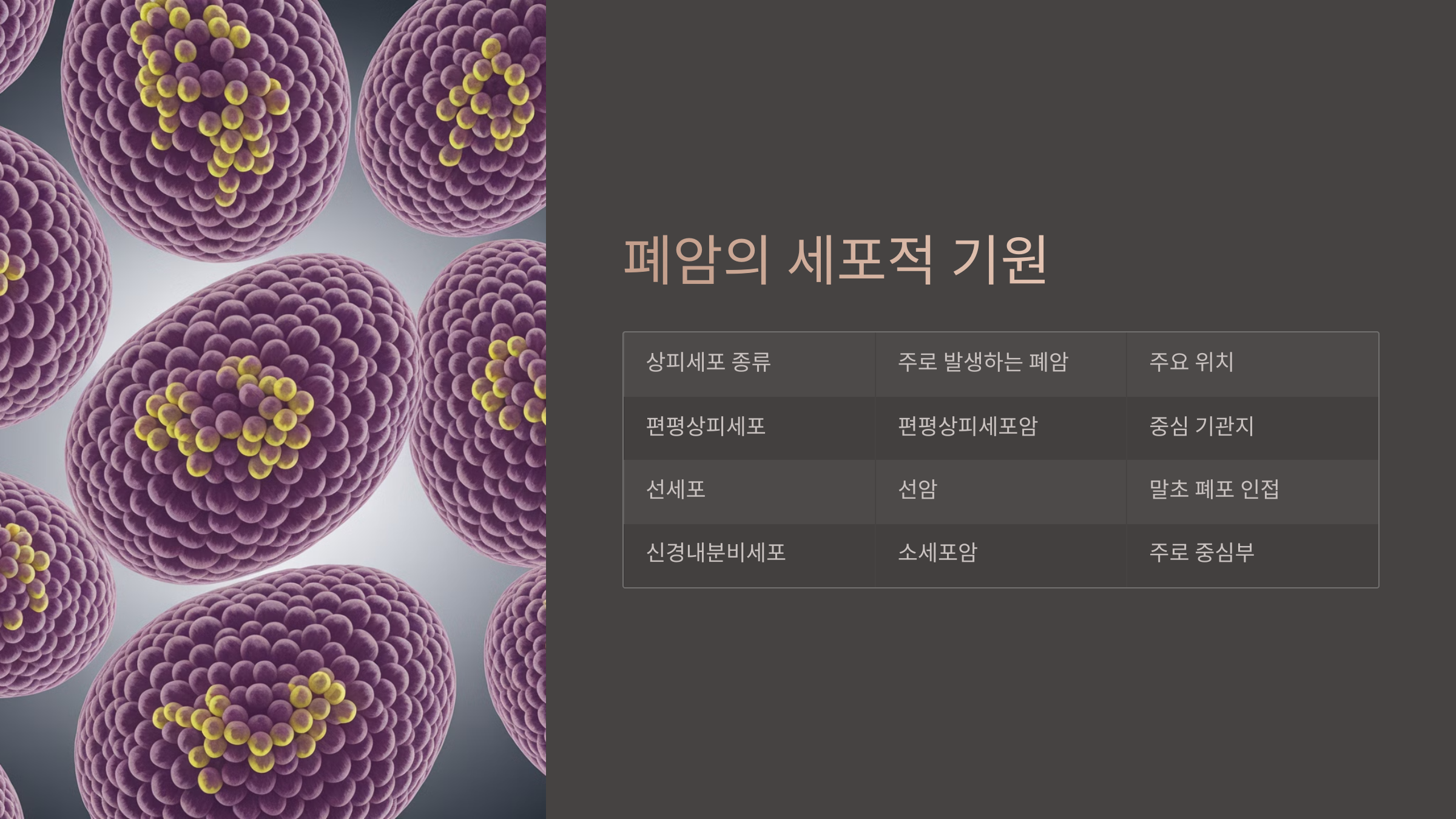 폐암의 세포적 기원