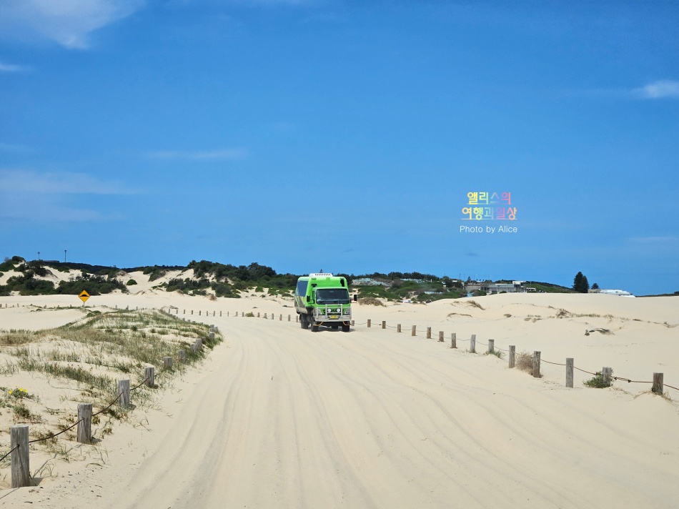 호주 시드니 사막 포트스테판 투어 솔직후기 가격 코스 야생 돌고래 크루즈