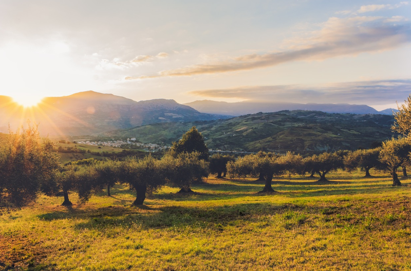 해외에서 체험하는 로컬 경험 여행 BEST 5