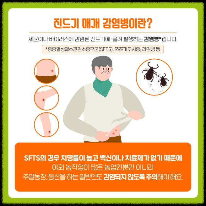 가을철 진드기 감염병 주의보: 예방 방법과 대처 요령