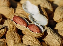 아몬드 효능 땅콩 효능